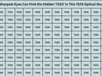 New optical illusion challenge: Can you spot the hidden number 7103 in this tricky grid?