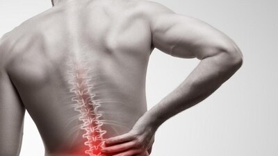 spine (Shutterstock) spine (Shutterstock)