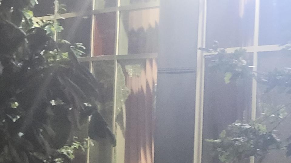 Facade of Kaps Cafe in Surrey peppered with bullets in the early hours of Thursday. (Credit: Sameer Kaushal/News Derby) Facade of Kaps Cafe in Surrey peppered with bullets in the early hours of Thursday. (Credit: Sameer Kaushal/News Derby)