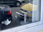 An optical illusion shared on Reddit went viral after users struggled to find the second cat cleverly concealed in the picture. An optical illusion shared on Reddit went viral after users struggled to find the second cat cleverly concealed in the picture.