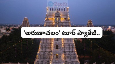 <p>ఈ టూర్ ప్యాకేజీలో భాగంగా కాణిపాకంతో పాటు అరుణాచలేశ్వరుడిని దర్శించుకోవచ్చు. ఈ అక్టోబర్ నెలలో కూడా జర్నీ ఉంది. ప్రసుతం 24 అక్టోబర్, 2025 తేదీన అందుబాటులో ఉంది. ‘ ARUNACHALA MOKSHA YATRA’ పేరుతో ఈ ప్యాకేజీని ఆపరేట్ చేస్తున్నారు.</p> <p>ఈ టూర్ ప్యాకేజీలో భాగంగా కాణిపాకంతో పాటు అరుణాచలేశ్వరుడిని దర్శించుకోవచ్చు. ఈ అక్టోబర్ నెలలో కూడా జర్నీ ఉంది. ప్రసుతం 24 అక్టోబర్, 2025 తేదీన అందుబాటులో ఉంది. ‘ ARUNACHALA MOKSHA YATRA’ పేరుతో ఈ ప్యాకేజీని ఆపరేట్ చేస్తున్నారు.</p>