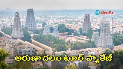 <p>2వ రోజు Puducherry స్టేషన్ కు చేరుకుంటారు. హోటల్ కి చెకిన్ అవుతారు. Auroville, అరబిందో ఆశ్రమం, ప్యారడైజ్ బీచ్ ను సందర్శిస్తారు. రాత్రి పుదిచేరిలోనే బస చేస్తారు.</p><p>టిఫిన్ తర్వాత అరుణాచలం(120 కి.మీ) బయల్దేరుతారు. హోటల్ కి చెకిన్ అవుతారు. అరుణాచలేశ్వరుడిని దర్శించుకుంటారు. రాత్రికి తిరువన్నమలైలోనే బస చేస్తారు. </p> <p>2వ రోజు Puducherry స్టేషన్ కు చేరుకుంటారు. హోటల్ కి చెకిన్ అవుతారు. Auroville, అరబిందో ఆశ్రమం, ప్యారడైజ్ బీచ్ ను సందర్శిస్తారు. రాత్రి పుదిచేరిలోనే బస చేస్తారు.</p><p>టిఫిన్ తర్వాత అరుణాచలం(120 కి.మీ) బయల్దేరుతారు. హోటల్ కి చెకిన్ అవుతారు. అరుణాచలేశ్వరుడిని దర్శించుకుంటారు. రాత్రికి తిరువన్నమలైలోనే బస చేస్తారు. </p>