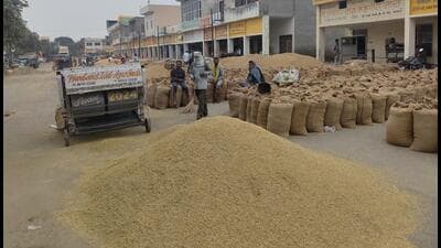 Paddy waiting to be lifted amid shortage of tractors and labourers in Karnal mandi on Friday. (HT Photo) Paddy waiting to be lifted amid shortage of tractors and labourers in Karnal mandi on Friday. (HT Photo)