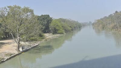 The UP government said 17,607 trees had already been felled across the three districts. (File photo) The UP government said 17,607 trees had already been felled across the three districts. (File photo)