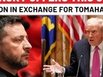 Zelensky offers this cheap Ukraine weapon to US in exchange for Tomahawk missile Zelensky offers this cheap Ukraine weapon to US in exchange for Tomahawk missile
