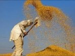 Mann further shared that payments totaling <span class='webrupee'>₹</span>7,472.20 crore had already been made to farmers for the procured grains (Representational Image) Mann further shared that payments totaling <span class='webrupee'>₹</span>7,472.20 crore had already been made to farmers for the procured grains (Representational Image)
