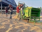 Ongoing paddy procurement on Saturday in Ludhiana grain markets. (Manish/HT) Ongoing paddy procurement on Saturday in Ludhiana grain markets. (Manish/HT)