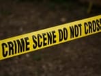 Nicola Tanzi, who was beaten to death outside the Jay Street-MetroTech subway station on Oct. 7. (Representative image) Nicola Tanzi, who was beaten to death outside the Jay Street-MetroTech subway station on Oct. 7. (Representative image)