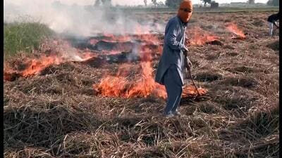A man burns stubble in a field at Metha Naag village, in Amritsar on Thursday (ANI) A man burns stubble in a field at Metha Naag village, in Amritsar on Thursday (ANI)