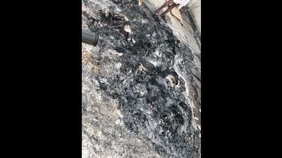 Charred remnants of the electoral rolls recovered at the former legislator’s residence in Aland. (HT PHOTO) Charred remnants of the electoral rolls recovered at the former legislator’s residence in Aland. (HT PHOTO)