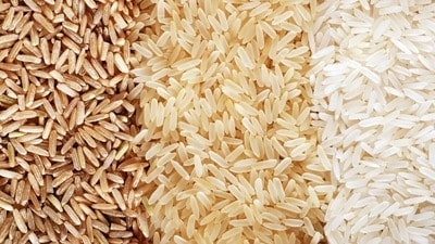 প্রতীকী ছবি (shutterstock) প্রতীকী ছবি (shutterstock)