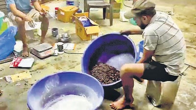 Navi Mumbai, India - Oct. 18, 2025:FDA seals trader's shop at Mumbai APMC over adulterated dry fruits in Navi Mumbai, India, on Saturday, October 18, 2025. (Photo by / HT PHOTO) (HT PHOTO) Navi Mumbai, India - Oct. 18, 2025:FDA seals trader's shop at Mumbai APMC over adulterated dry fruits in Navi Mumbai, India, on Saturday, October 18, 2025. (Photo by / HT PHOTO) (HT PHOTO)