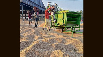 Ongoing paddy procurement on Saturday in Ludhiana grain markets. (Manish/HT) Ongoing paddy procurement on Saturday in Ludhiana grain markets. (Manish/HT)