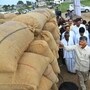 ఈనెల 27 నుంచి ధాన్యం కొనుగోళ్లు ప్రారంభం (ఫైల్ ఫొటో)