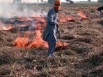 A man burns stubble in a field at Metha Naag village, in Amritsar on Thursday (ANI) A man burns stubble in a field at Metha Naag village, in Amritsar on Thursday (ANI)