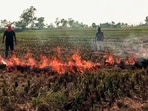 Farmers burning stubble in a field in Amritsar on Sunday. (ANI Video Grab) Farmers burning stubble in a field in Amritsar on Sunday. (ANI Video Grab)