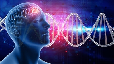 High sugar diets linked to inflammation and brain ageing, expert warns. (Freepik) High sugar diets linked to inflammation and brain ageing, expert warns. (Freepik)