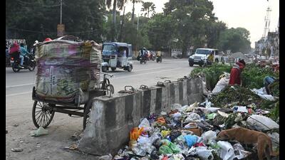 Garbage piles up along Daliganj Road in Lucknow on Sunday. (Mustaq Ali/HT Photo) Garbage piles up along Daliganj Road in Lucknow on Sunday. (Mustaq Ali/HT Photo)