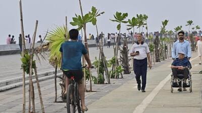 Harith Mehta (in white t-shirt) visits the promenade regularly with his 98-year-old wheelchair-bound father (Anshuman Poyrekar/HT Photo) Harith Mehta (in white t-shirt) visits the promenade regularly with his 98-year-old wheelchair-bound father (Anshuman Poyrekar/HT Photo)