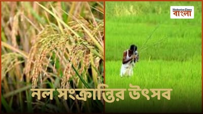 ভূত চতুর্দশীতেই কেন পালিত হয় নল সংক্রান্তি? ভূত চতুর্দশীতেই কেন পালিত হয় নল সংক্রান্তি?