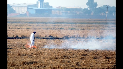 The number of farm fires incidents reported this season now stands at 308 (HT Archive) The number of farm fires incidents reported this season now stands at 308 (HT Archive)