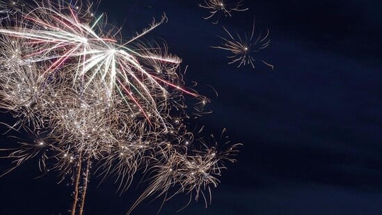 The decision to not ban firecrackers in Canada's Mississauga city was taken on earlier this week on Wednesday, October 15 (Representational Photo/Unsplash)