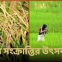 ভূত চতুর্দশীতেই কেন পালিত হয় নল সংক্রান্তি?