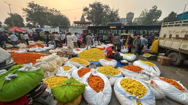 From 3am, hundreds thronged Gurugram’s Old Delhi Road flower market as marigold, rose and lotus prices surged, marking traders’ busiest day before Diwali. (Parveen Kumar/HT) From 3am, hundreds thronged Gurugram’s Old Delhi Road flower market as marigold, rose and lotus prices surged, marking traders’ busiest day before Diwali. (Parveen Kumar/HT)