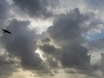 Thunderstorms with gusty wind (40-50 kmph) and lightning are very likely to occur at one or two places over Andaman and Nicobar Islands on October 24 and 25, Thunderstorms with gusty wind (40-50 kmph) and lightning are very likely to occur at one or two places over Andaman and Nicobar Islands on October 24 and 25,
