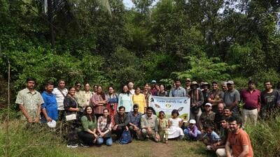 Flying start for Mumbai’s only butterfly club
