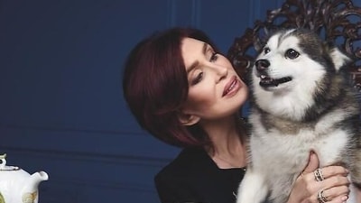 Sharon Osbourne says goodbye to 14-year-old dog Elvis, following months of loss after Ozzy’s passing in July and their other dog Rocky’s death in August. (@sharonosbourne/Instagram) Sharon Osbourne says goodbye to 14-year-old dog Elvis, following months of loss after Ozzy’s passing in July and their other dog Rocky’s death in August. (@sharonosbourne/Instagram)