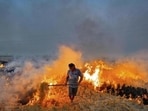 Farm fire incidents typically surge in mid-October as farmers prepare their fields for wheat sowing after paddy harvesting. The Punjab Pollution Control Board monitors stubble burning every year from September 15 to November 30. (HT file photo) Farm fire incidents typically surge in mid-October as farmers prepare their fields for wheat sowing after paddy harvesting. The Punjab Pollution Control Board monitors stubble burning every year from September 15 to November 30. (HT file photo)