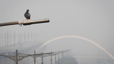 A thick layer of smog engulfs Delhi's Burari as pollution levels increased in the national capital on Tuesday after Diwali celebrations. (Sanchit Khanna/Hindustan Times) A thick layer of smog engulfs Delhi's Burari as pollution levels increased in the national capital on Tuesday after Diwali celebrations. (Sanchit Khanna/Hindustan Times)