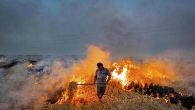 Farm fire incidents typically surge in mid-October as farmers prepare their fields for wheat sowing after paddy harvesting. The Punjab Pollution Control Board monitors stubble burning every year from September 15 to November 30. (HT file photo) Farm fire incidents typically surge in mid-October as farmers prepare their fields for wheat sowing after paddy harvesting. The Punjab Pollution Control Board monitors stubble burning every year from September 15 to November 30. (HT file photo)