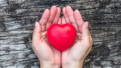 What are five foods cardiologists say not to eat? (Adobe Stock) What are five foods cardiologists say not to eat? (Adobe Stock)