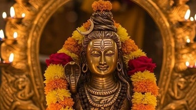 కార్తీక మాసంలో శివ కేశవుల అనుగ్రహం కలగాలంటే ఏం చేయాలి? (pinterest)