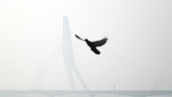 A layer of smog seen in the early hours of the morning after Diwali with an immense increase in pollution levels.(Photo by Sanchit Khanna, HT)