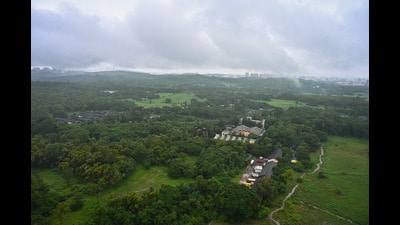 General view of Aarey forest, also known as Aarey Colony, one of the few remaining green spaces in Mumbai. Mumbai India. Sep 28, 2024. (Hindustan Times) General view of Aarey forest, also known as Aarey Colony, one of the few remaining green spaces in Mumbai. Mumbai India. Sep 28, 2024. (Hindustan Times)