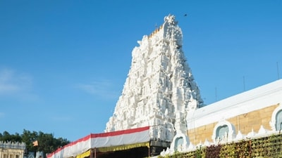 Multiple trusts are constituted by the TTD to carry out its charitable functions, including free food distribution to pilgrims, support to education and healthcare sectors (X/@PSTamangGolay) Multiple trusts are constituted by the TTD to carry out its charitable functions, including free food distribution to pilgrims, support to education and healthcare sectors (X/@PSTamangGolay)