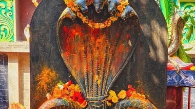 నాగుల చవితి 2025 తేదీ, శుభ ముహూర్తం (pinterest) నాగుల చవితి 2025 తేదీ, శుభ ముహూర్తం (pinterest)