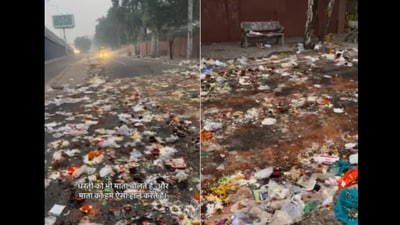 The video has attracted strong reactions online. (Instagram/@theangryindian.in) The video has attracted strong reactions online. (Instagram/@theangryindian.in)