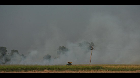 Typically, the impact of farm fires begins to rise sharply in the last week of October (Sameer Sehgal/HT)