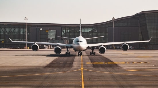 Drunk NYC plane passenger whose meltdown went viral has been identified as a 32-year-old artist who works with top brands