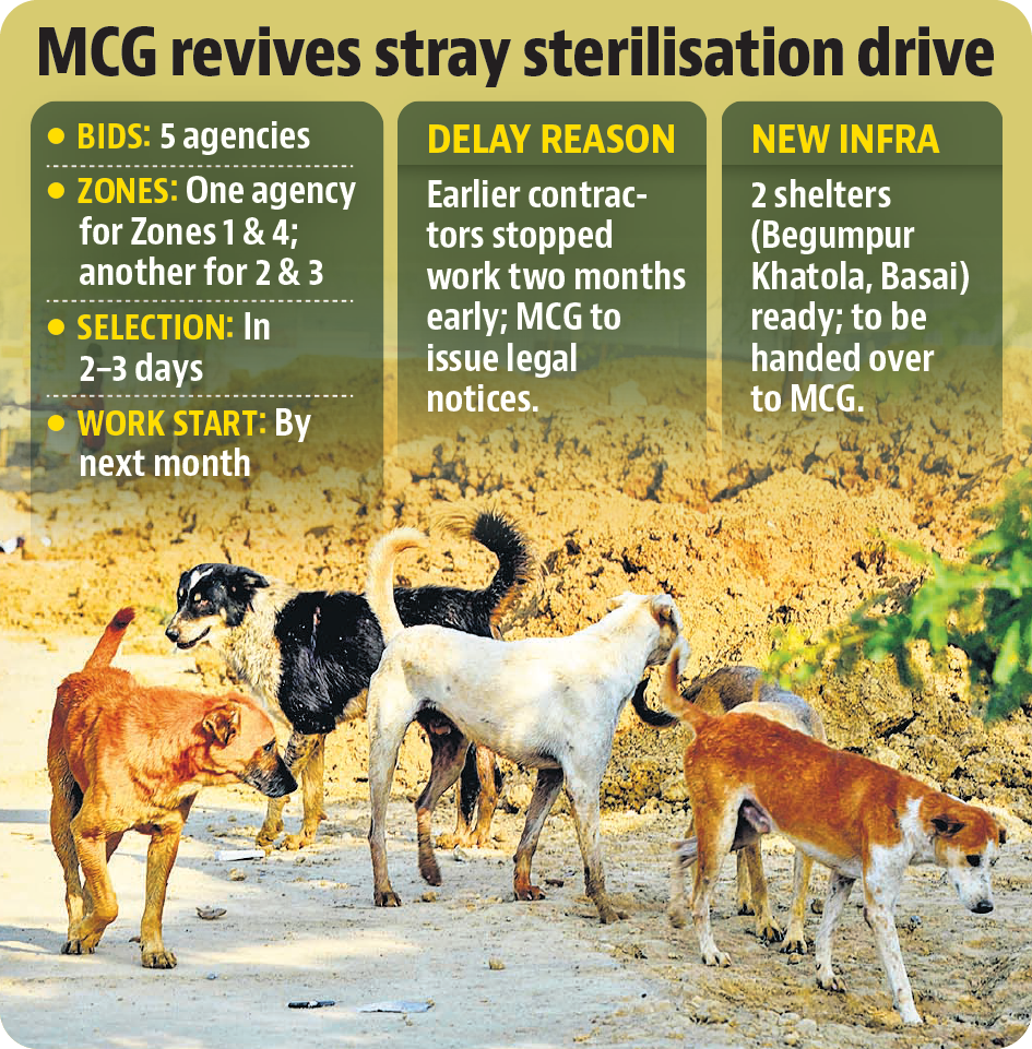 Two shelters are ready for handover; new animal welfare rules make RWAs responsible for safe feeding zones and coordination.