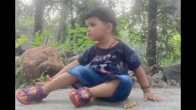 2-year-old girl dies as motorcycle hits her in SGNP 2-year-old girl dies as motorcycle hits her in SGNP