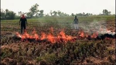 According to the Central Pollution Control Board (CPCB), another industrial town of Haryana -- Dharuhera -- in Rewari district stood second with just a marginal difference at 322 in the same category. (File)