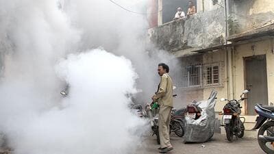 The workers not only carry out checks but also take part in fumigation drives. (Representative photo)