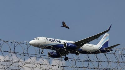 India plans new rules for carrying power banks on flights after recent battery fire incidents on board aircraft. (REUTERS)