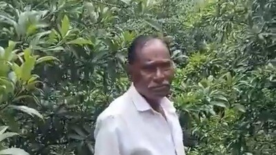 నిందితుడు నారాయణరావు నిందితుడు నారాయణరావు