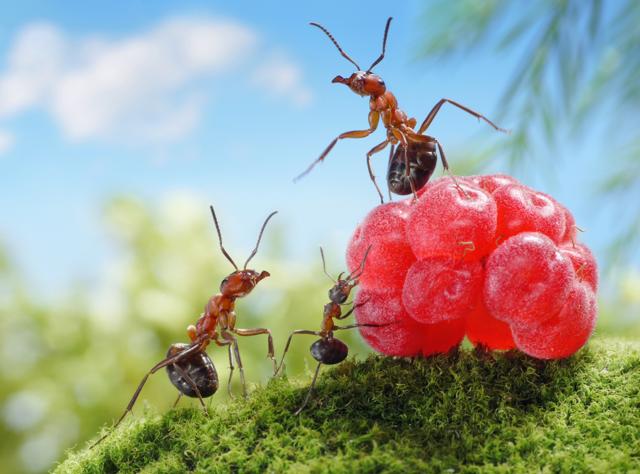 A spec in this humongous universe (Shutterstock)